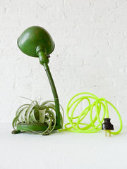 30% SALE Oh My Lamp! Vintage Industrial Gooseneck with Neon Textile Cord and Live Air Plant