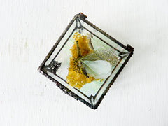 Beveled Glass Jewelry Box Spotted Sleeping Zanna Butterfly on Gold Citrine Quartz Specimen
