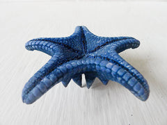 REAL Starfish Specimen Dyed Blue with LIVE Air Plant