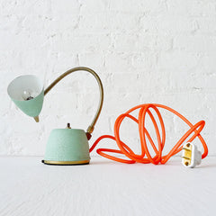 Spring Fresh Mint Green Gooseneck Lamp w/ Neon Orange Net Color Cord