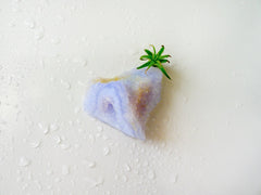 10% SALE My lil Magnet Air Plant on Special Druze India Crystal Cave Garden