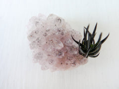 10% SALE Air Plant Crystal Garden Pink Lavender Cobaltocalcite Crystal Stone