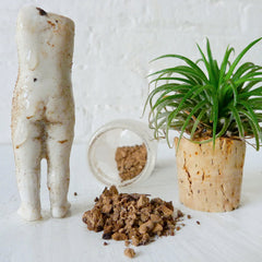 20% SALE Buried Head in Dirt - Bisque Doll Growing Garden Feet in Glass Vial