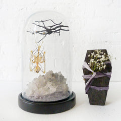Real Bat Skeleton Hanging Over Smokey Quartz Cluster Stone in Glass Dome