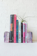 Pastel in Pink  BookGardEndz Crystal Bookends Air Plant Garden Set of Two