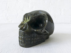 15% SALE Giant Labradorite Skull "One Eyed Willie" with Live Air Plant