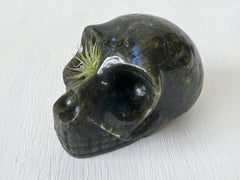 15% SALE Giant Labradorite Skull "One Eyed Willie" with Live Air Plant
