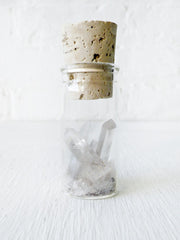 Raw Quartz Point and Mica in Glass Cork Vial