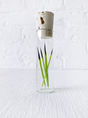 Neon Green Porcupine Quills in Glass Cork Vial