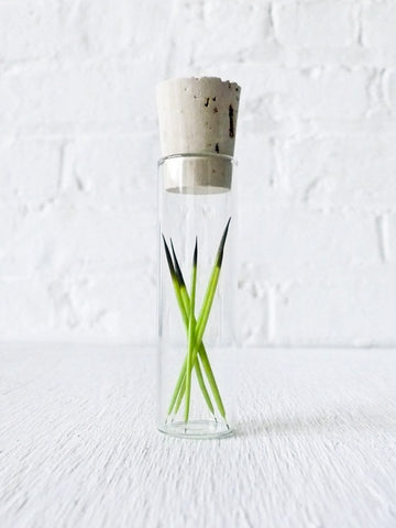 Neon Green Porcupine Quills in Glass Cork Vial