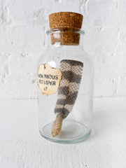 Venomous Rattle Snake Specimen in Cork Jar