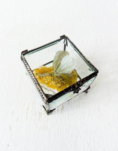 Beveled Glass Jewelry Box Spotted Sleeping Zanna Butterfly on Gold Citrine Quartz Specimen
