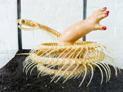 30% SALE Too Late to Save the Baby Cobra Skeleton Preserved in Glass Display Box with Baby Doll