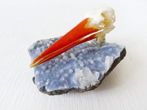 Nested King Fisher Bird Skull on India Crystal Cluster Mineral