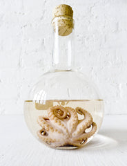 10% SALE Sea Witch Octopus Specimen Bed of Quartz Crystals in Science Beaker