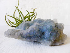 10% SALE Chalcedony India Mineral Fuzzy Air Plant Clump Crystal Garden