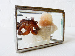 10% SALE Little Miss Seawitch in a Box Octopus Specimen on India Crystal