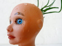 30% SALE Vintage Doll Head Air Plant Bulbosa Garden Creepy Cute Collection