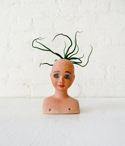 30% SALE Vintage Doll Head Air Plant Bulbosa Garden Creepy Cute Collection