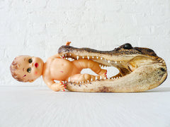 Vintage Doll in Jaws of Alligator Taxidermy Head
