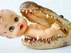 Vintage Doll in Jaws of Alligator Taxidermy Head