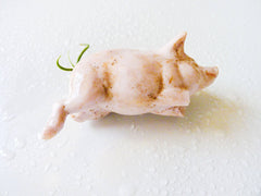 10% SALE My Lil Oinker Magnet Antique German Bisque Pig with Air Plant Tail Garden
