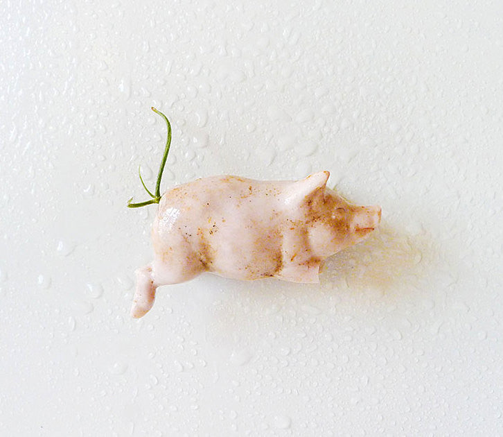 10% SALE My Lil Oinker Magnet Antique German Bisque Pig with Air Plant Tail Garden
