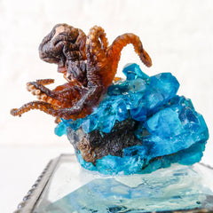 30% SALE "Little Miss Splash Puss" Real Octopus Specimen on Jewelry Box