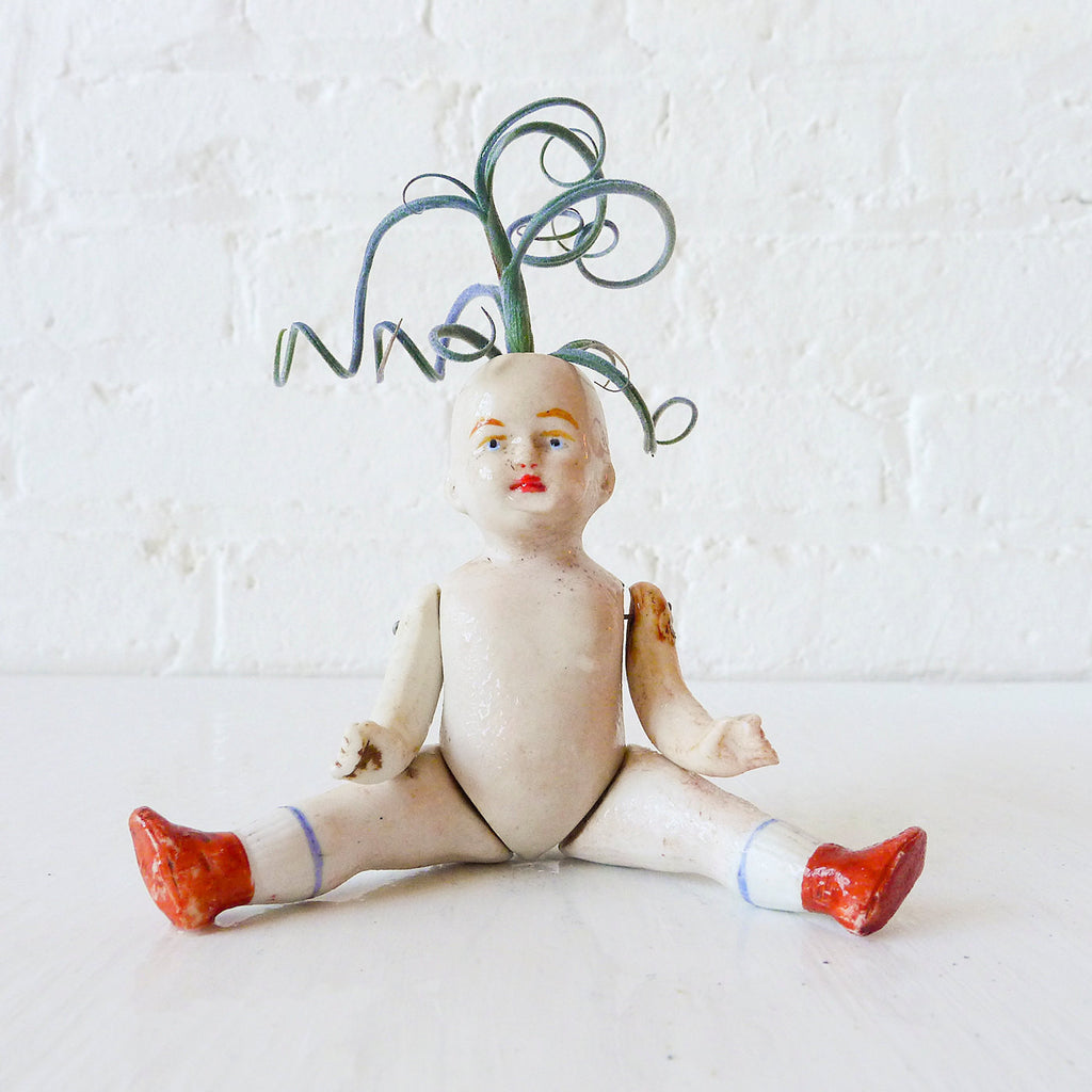 30% SALE Clown Boy Air Plant Garden Antique German Bisque Doll