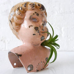 Antique German Tin Head Air Plant Garden Vintage Bust Weathered Cherub Face