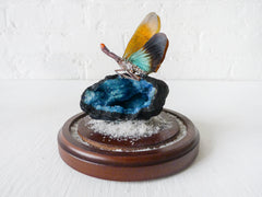 Real Butterfly Crystal Blue Geode Pedestal Glass Cloche Container