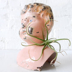 10% SALE Large Antique German Tin Head Air Plant Garden Vintage Bust Weathered Chubby Face