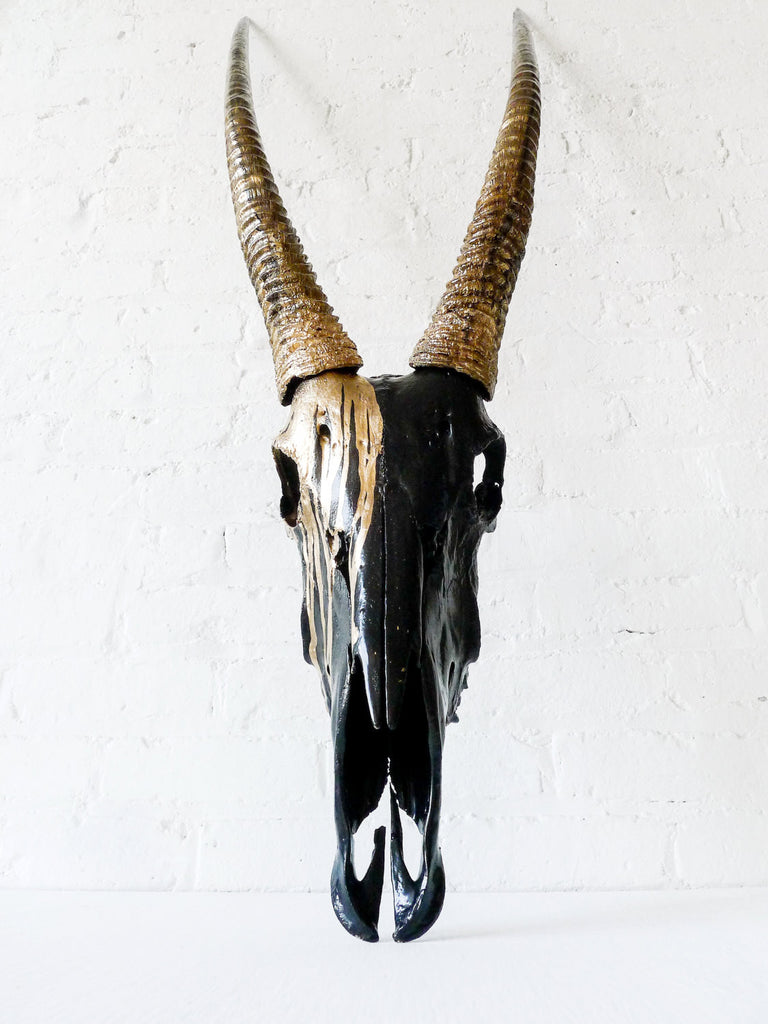 Real Gemsbok Oryx Skull Painted Gold and Black