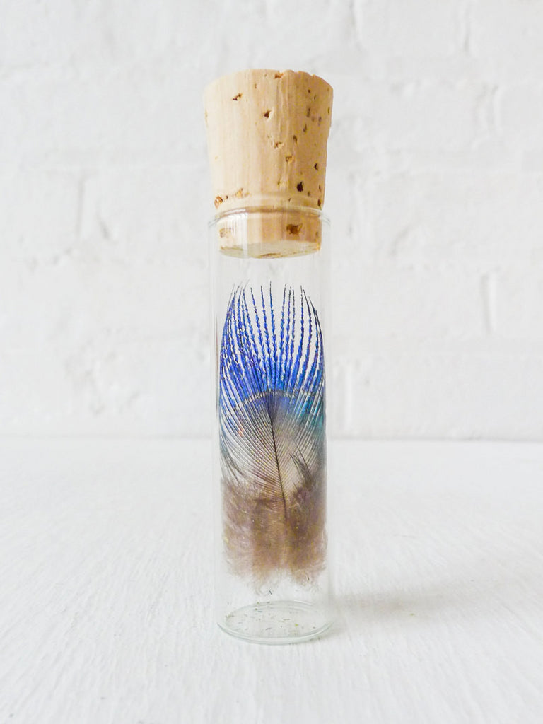 Real Peacock Feather Specimen In Glass Vial Cork Top