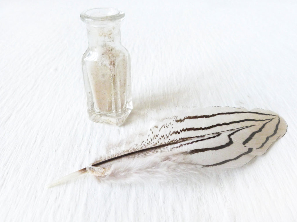Antique Vintage Bottle Specimen Zebra Chicken Feather Mini Glass Vial Antique Ink Collection