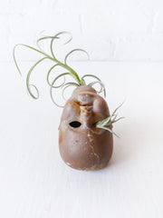 ON SALE - Distressed Creepy German Zinc Doll with Air Plant