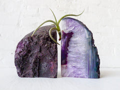 30% SALE Air Plant Planetary Purple Book Ends - Crystal Bookends Air Plant Garden - Agate Geodes