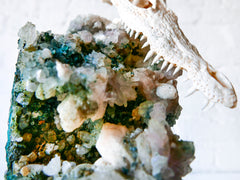 HUGE India Crystal Cluster Matrix Geode w/ Crocodile Skull